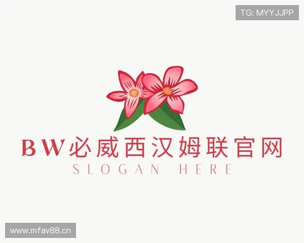 介绍bw必威西汉姆