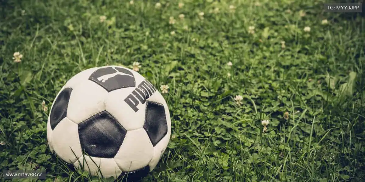 🎮 一键开启,畅享沉浸式体验!🌟